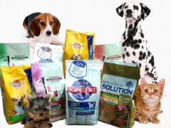 寵物飼料發展前途“不可限量”，飼料機械助力發展“新渠道”